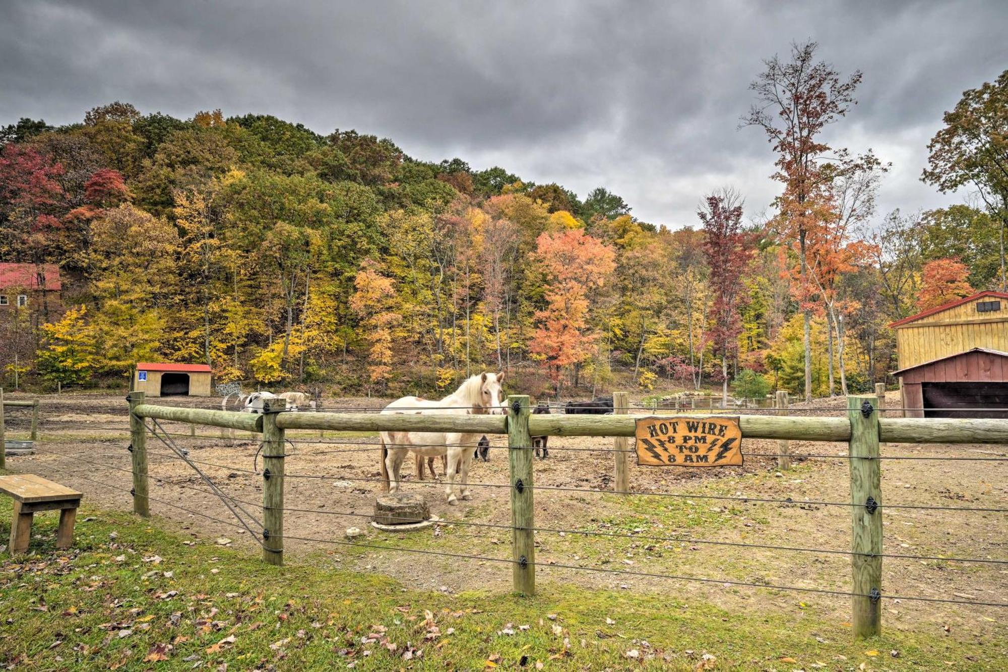 Lucas Mccain Cabin 5 Mi To Raystown Lake Launch! Huntingdon Exterior photo